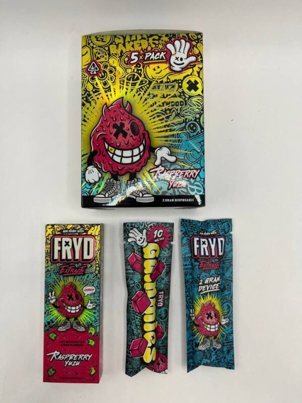 FRYD 2G Disposable